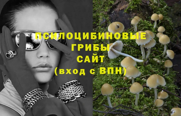прущий лед Корсаков