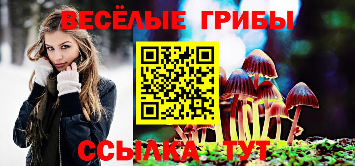 Псилоцибиновые грибы MAGIC MUSHROOMS Назарово